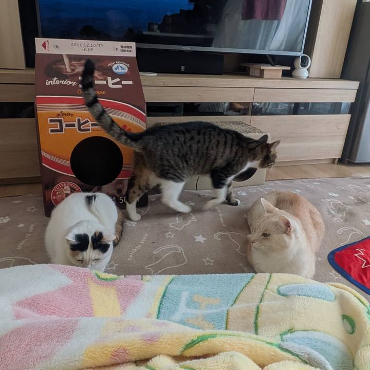 6fc53e7e a0a2 41d7 a1e0 58f6eea932d7 1769126714668