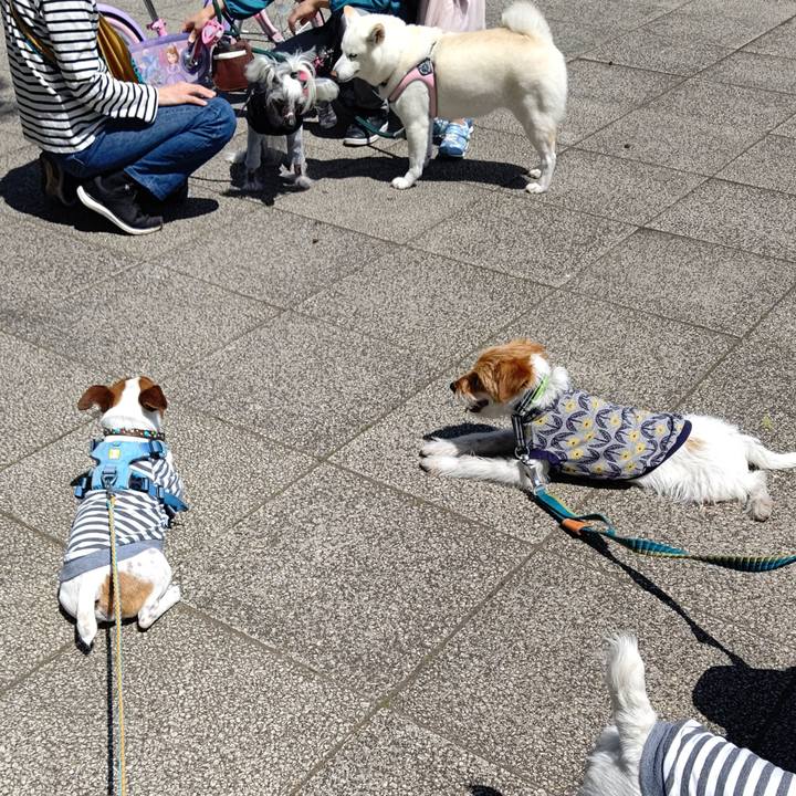 6fc54e61 1734 42e0 91dc 478106cf969e 1682766496403