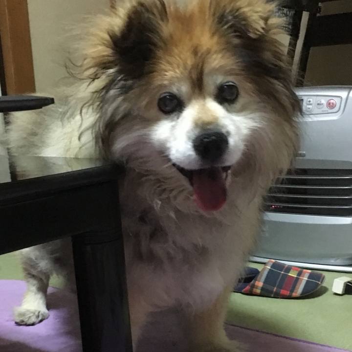 6fc56d52 83d8 4665 ba09 f280eccc308c 1602910596308