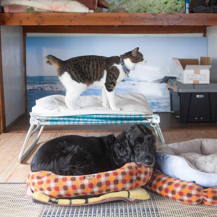 6fc5747d 7c65 425e a8d6 7ac9e16d8b19 1569727551287