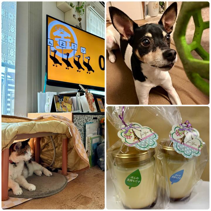 6fc5755f 17f3 432a b53b f500395bcd49 1710473429955