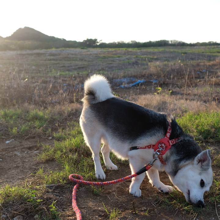 6fc5c02d a2a2 402c b612 8261e33fd618 1577357967139