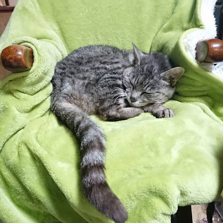 6fc6012c fae4 43a9 b297 4e1ee5441908 1589192615229