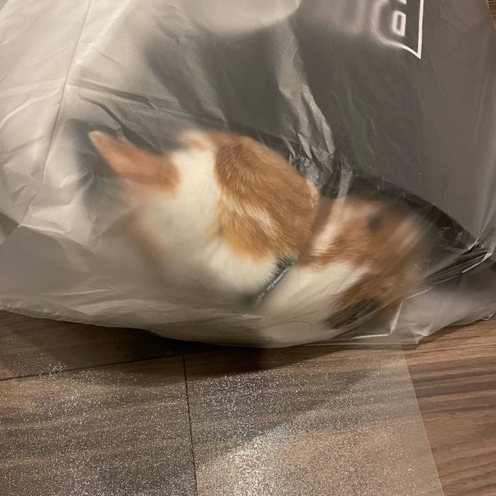 6fc60d46 4a5f 403a bc46 d8b82e9549d2 1709460017432