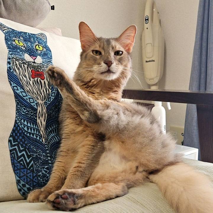 6fc61bc5 94a6 49ad ab0b 1442a273de82 1726538249796