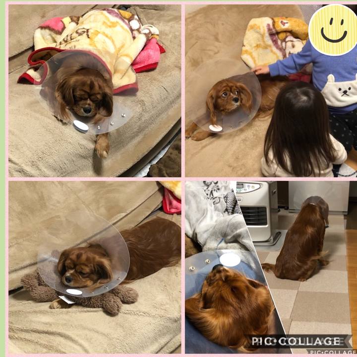 6fc61f62 c5c7 49a6 b823 7e3947748fad 1577547787477