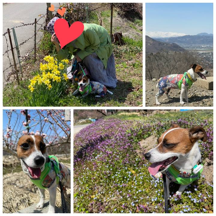 6fc62d68 cd90 4cef 94e2 253beaac619d 1649328735364