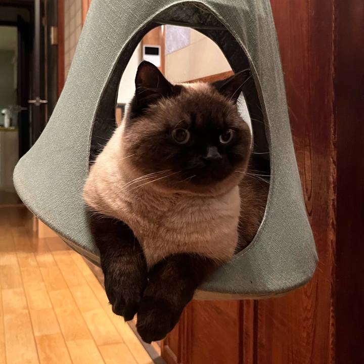 6fc66495 3366 499c 9471 d29e47fb5b22 1649853870733