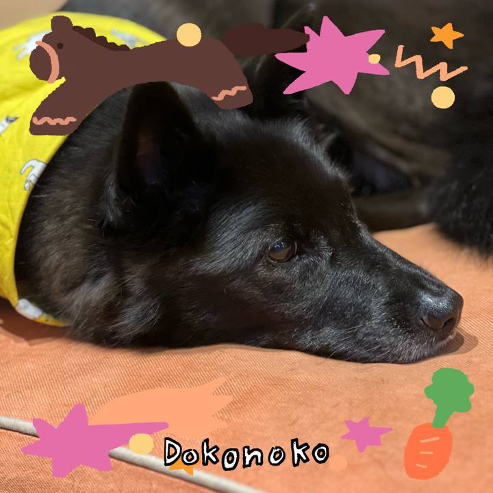 6fc69dc0 12a6 43cc 962b 3fa14ac73cab 1772262882465