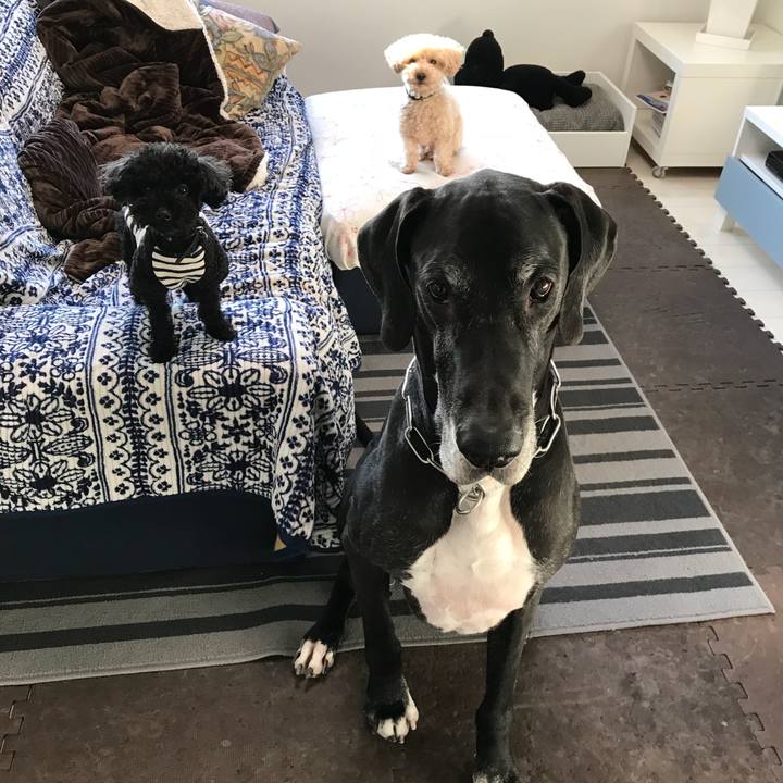 6fc6b030 6d69 4afb a59f 2c0a146d6be7 1516920128979