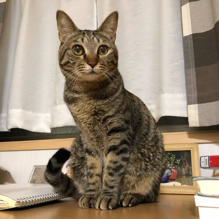 6fc6d547 7488 4de4 9e1c ad2b2a1374c3 1519059175048