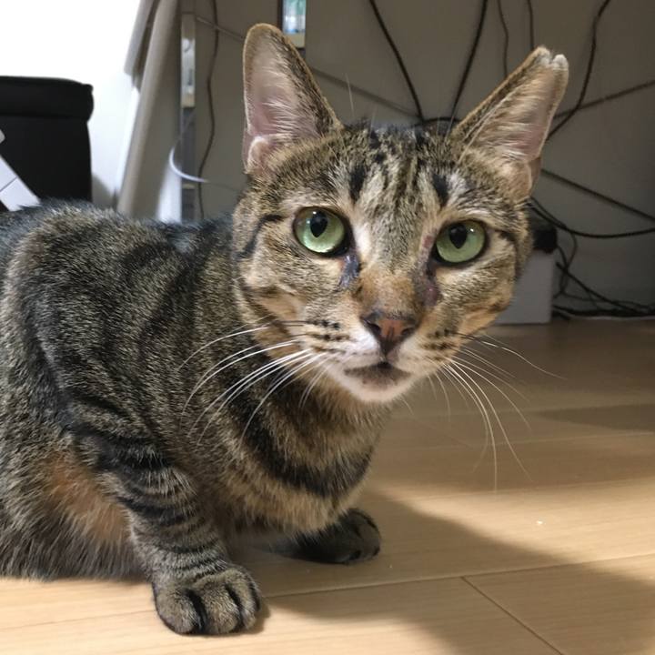 6fc6e69f edd3 4b59 ae49 8e6c68dd6236 1540857589115