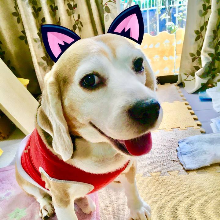 6fc6fccc c77e 4186 8da9 94bf239b8edf 1770183755869