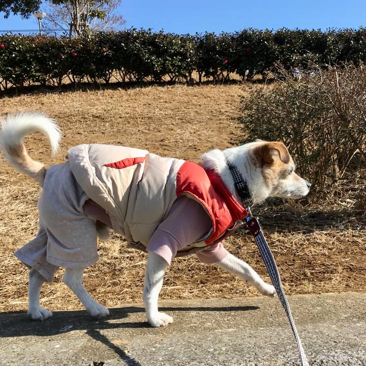 6fc717ce 01bd 478c 9468 28eada430d10 1643677824178