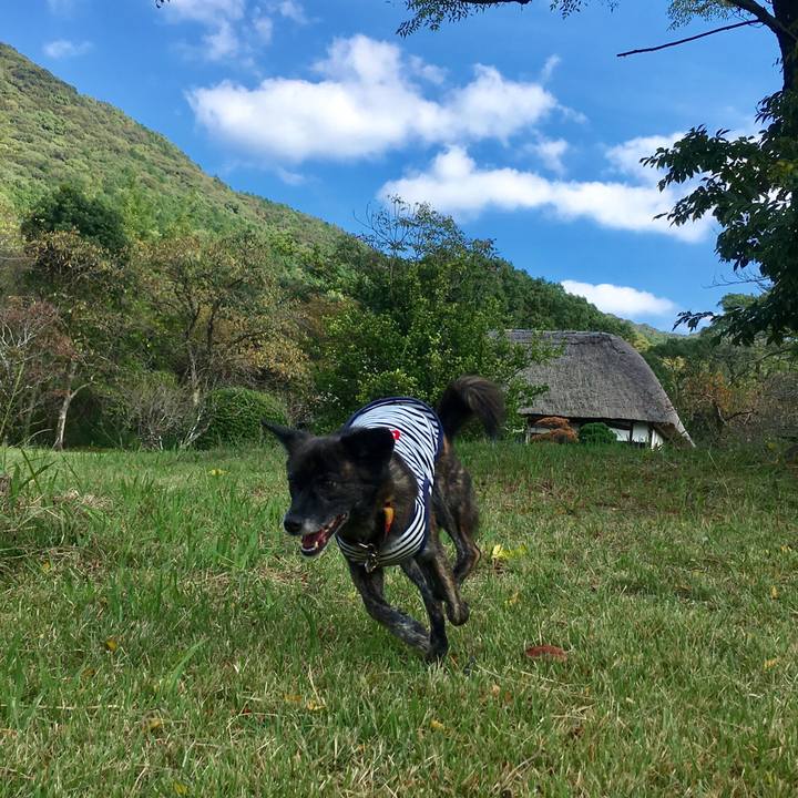 6fc721fc 9a6d 4773 90b1 ee903b01ef8c 1539522827409