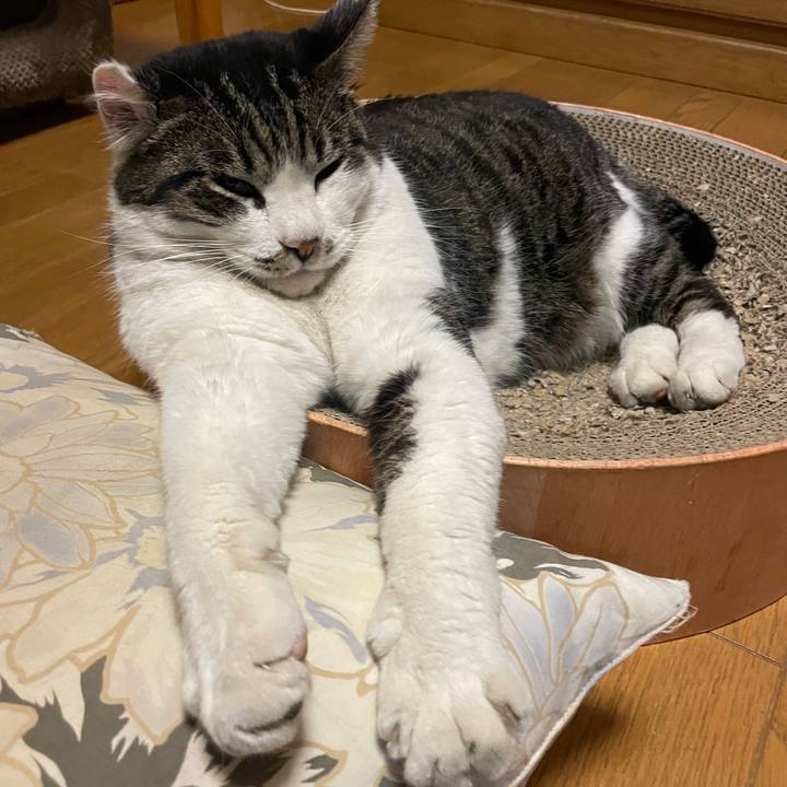 6fc73860 f056 460d a55a 6df72a2b5ae5 1713431126879