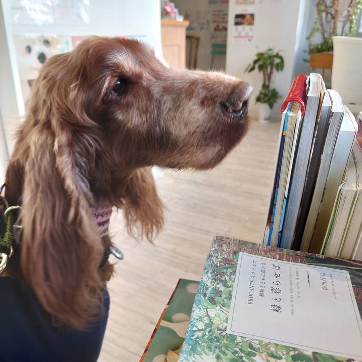 6fc75dd1 36d3 4934 a98d ffe8c066d7d0 1705145134975