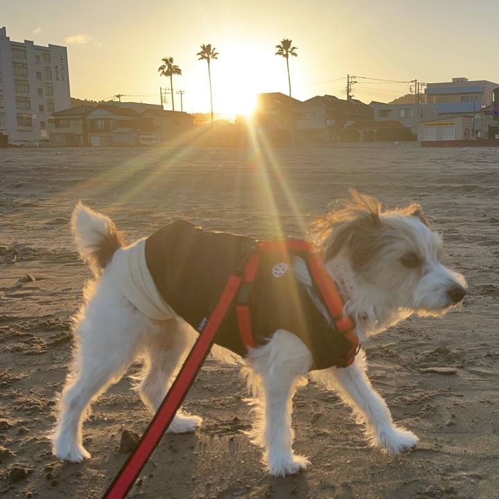 6fc784d6 dba6 4be8 b0c3 81479561c7b1 1763283152266