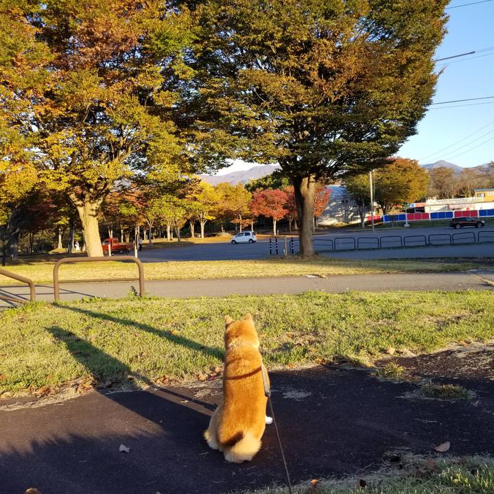 6fc78f19 bd53 4875 b77f 1d3ac89797ef 1666768267578