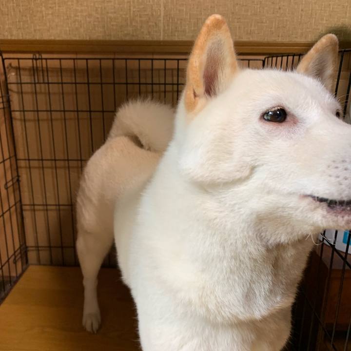 6fc7e5ed 7c41 402b 83f5 084ebabb2d74 1568589184906