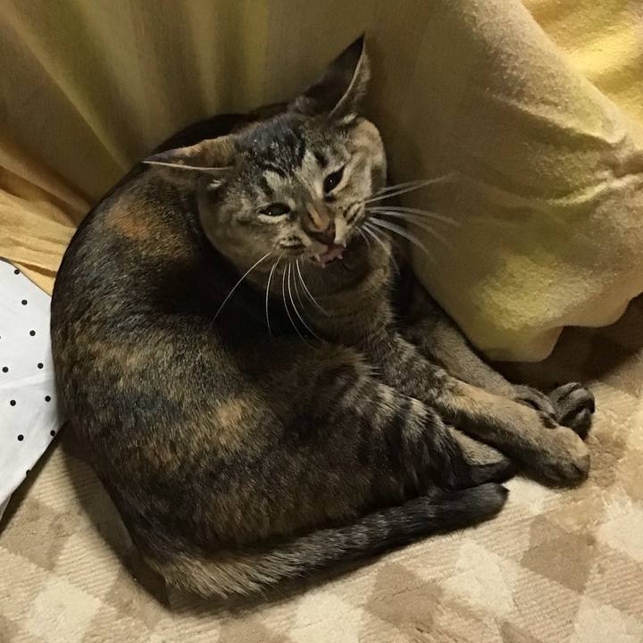 6fc7ea94 2150 4bd2 aa46 f37c7844b776 1670845111034