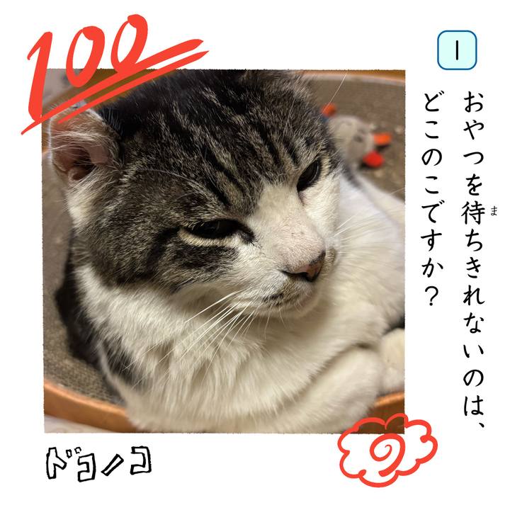 6fc7f25a 69e0 430b bfb0 d606395da57a 1744339788993