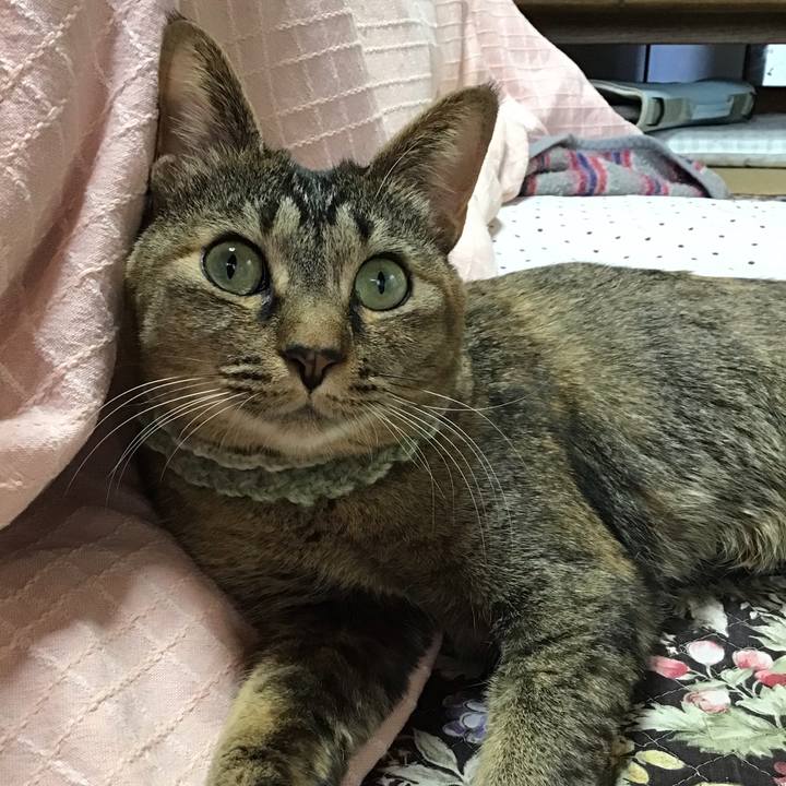 6fc83e04 4a1a 49ef 884c fd1d3277763d 1647045922094