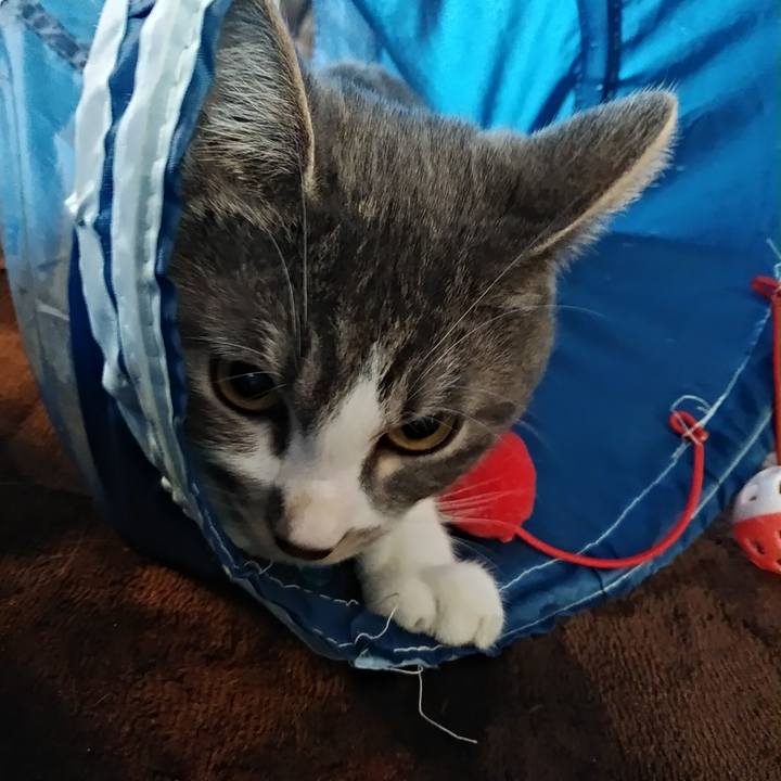 6fc87b5f a022 4c9c acc9 00a327b718d5 1578784364169