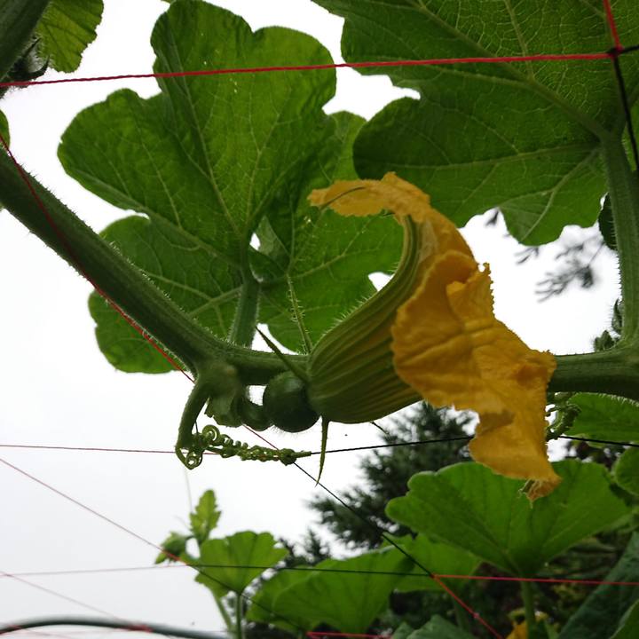 6fc88178 09e2 4d69 a458 12c599de17f5 1593981747866