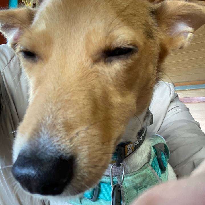 6fc8be6a 1c54 41af 871e 1ef923ce08c7 1762419492213