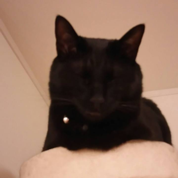 6fc8da4a 3a1f 47fe 8dbc 53ef1c3854cd 1526050824832