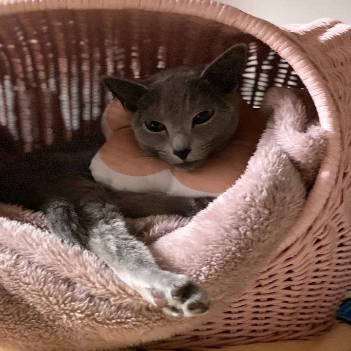 6fc92db9 730f 4d63 8e91 c67d169bcf12 1679315341797