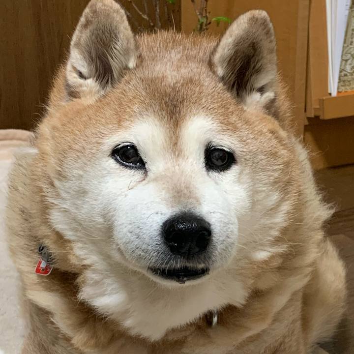 6fc93282 45e5 43bf 8dd4 ef3b7e81f99b 1613397369724