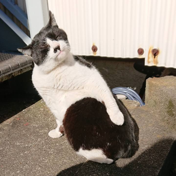 6fc93dc1 f212 474d 900a 7489c9f68045 1547435668156