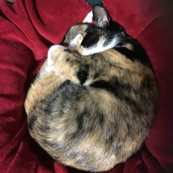 6fc94c18 897f 4bd9 b1a9 e227f2693b35 1512469260731