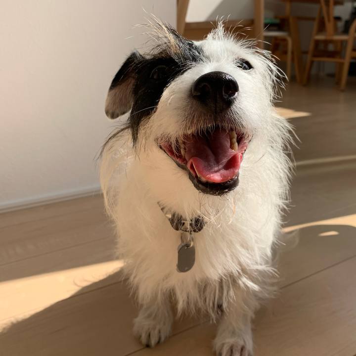 6fc9bfae 1885 4164 b0aa b6f32229f941 1602560602301