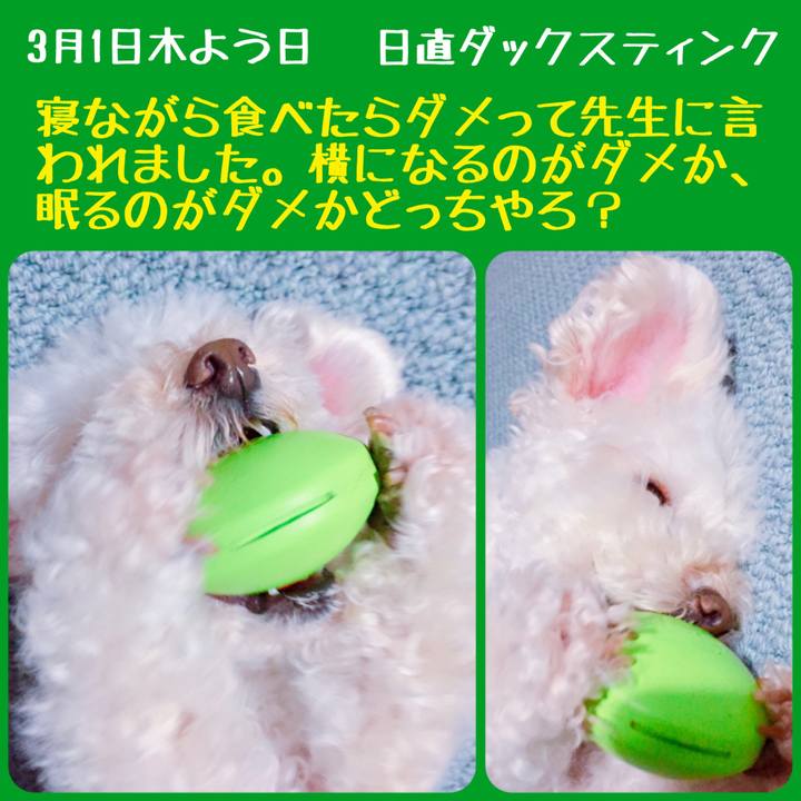 6fc9d596 9fcd 445d 8a08 ff79d8a050de 1519892568954