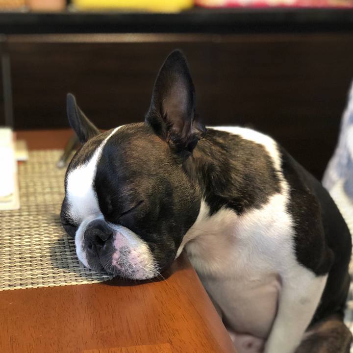 6fc9e502 e0a8 49bf 9910 a9d932549308 1525153428071