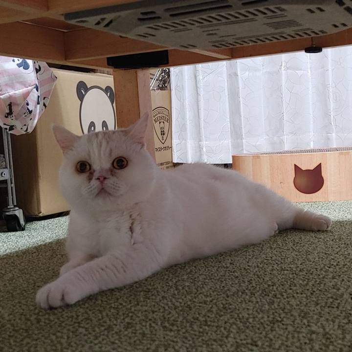 6fca0a0b cae4 40e6 b505 5fd56bf1fee3 1628690916598