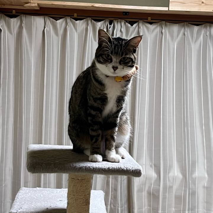 6fca1923 a00f 40a7 b13f 7971b43721ad 1725065336616