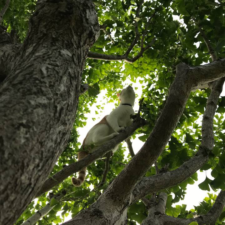 6fca434c de02 4304 b0aa a4bb316b2588 1527549233501