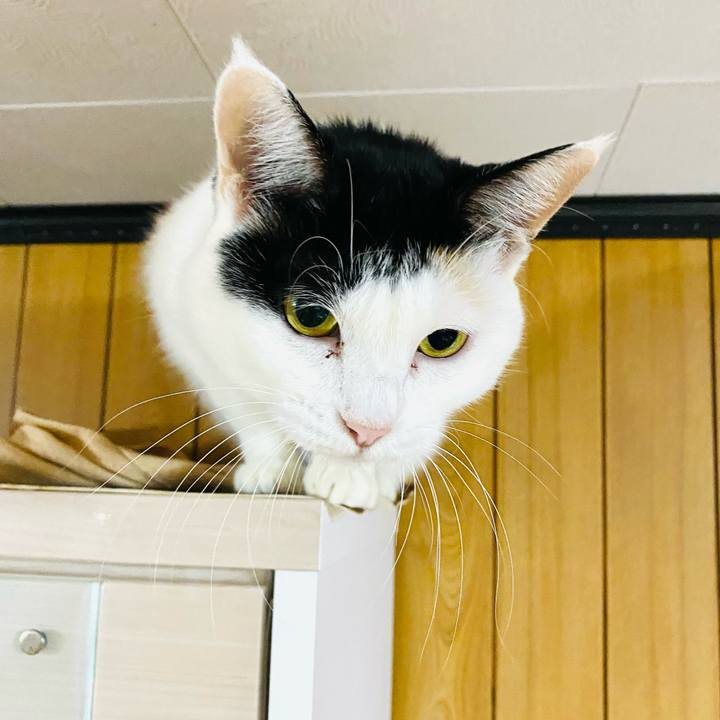 6fca47f1 dbca 41ae 8550 8d9fcbc94cd1 1666958821259