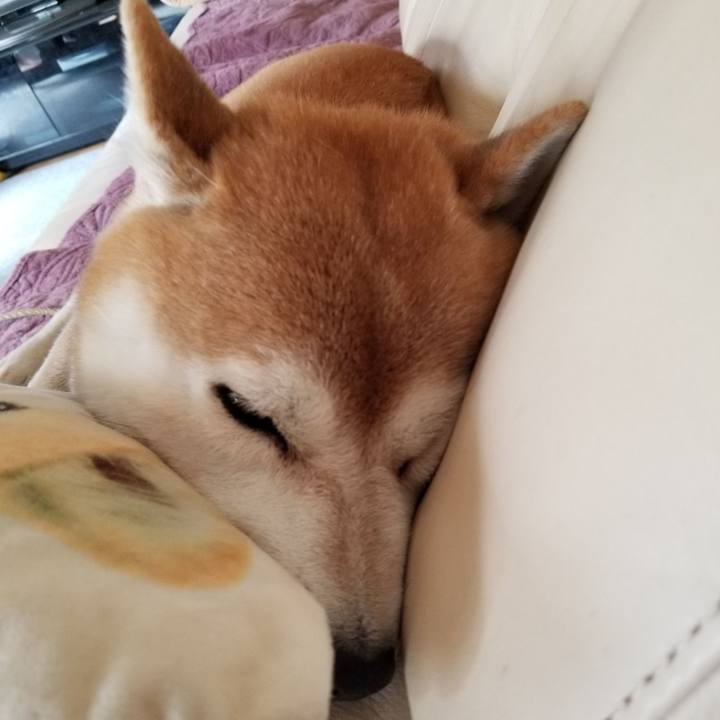 6fca4c7a 6fde 48bd b425 f9f6844f15d3 1604020450834