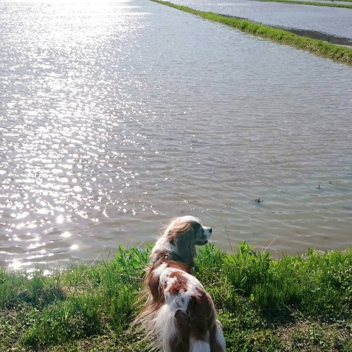 6fca6085 3697 45be 8e29 dfa7ff4a7de3 1526033748076