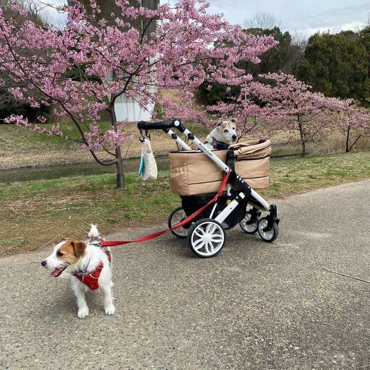 6fca7cfd c96d 4072 a39a f3095991b7e2 1678594411267