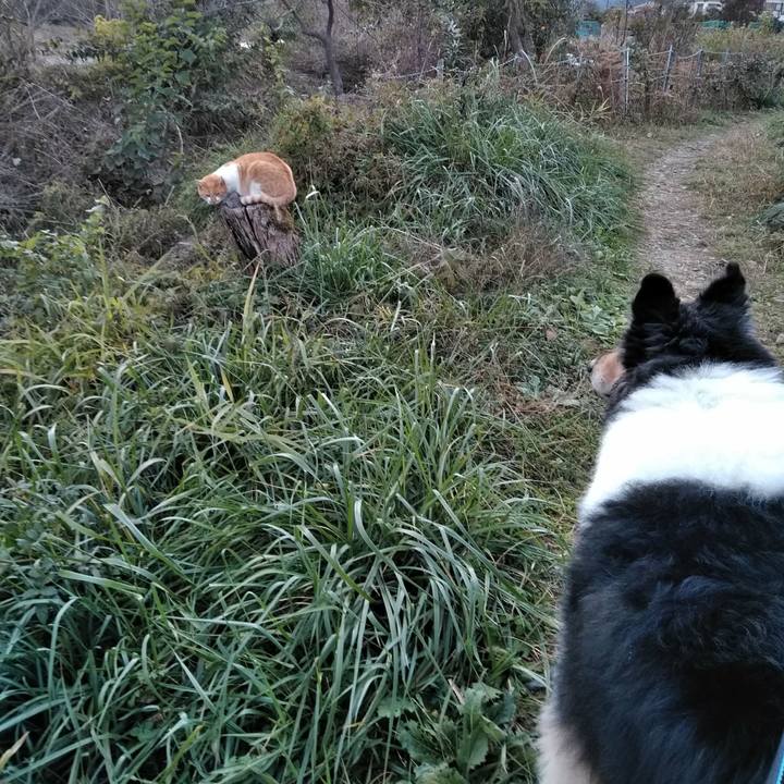 6fca8b66 4014 465c b6be e2e8ee11cac2 1511182115067