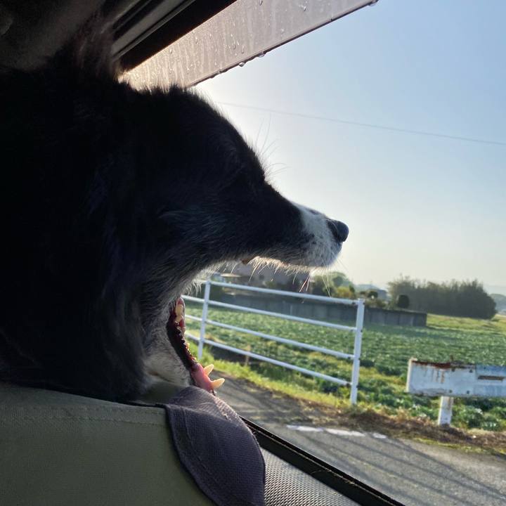 6fca98d4 0d78 4755 b35e 0e9378837b68 1681682578437