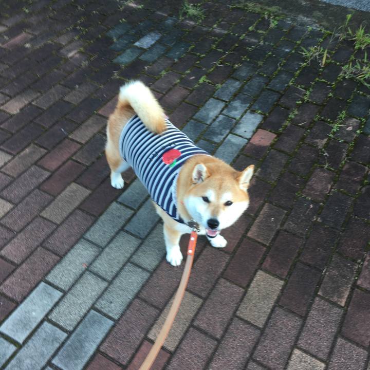 6fcabe69 776f 449e 9f54 272b438f0442 1542179300126