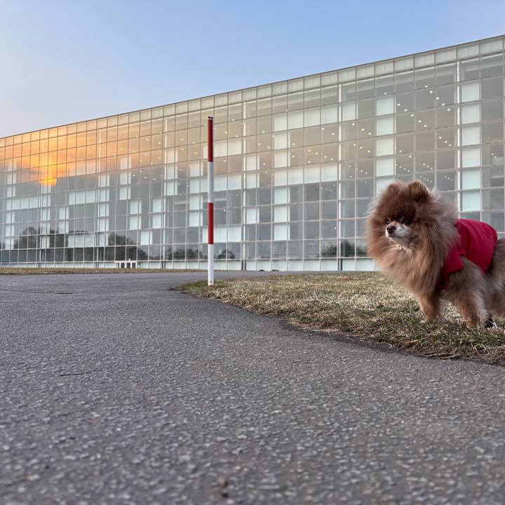 6fcac32d a247 4921 96bb 484b64d79ce5 1742600142274