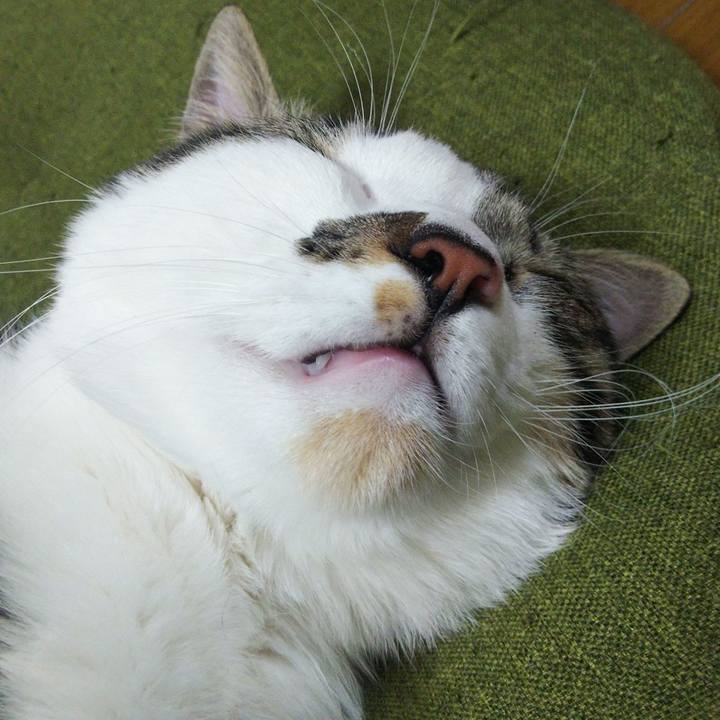 6fcb176e a1a6 4c9b b629 4938a87ec415 1642419021633